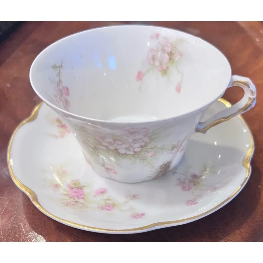 Porcelain Haviland Limoges France tea cup saucer pink green floral gold accent